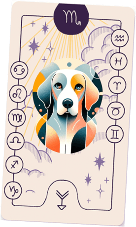 Sterntier Hero Image